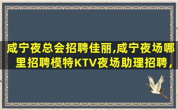 阜阳夜总会招聘